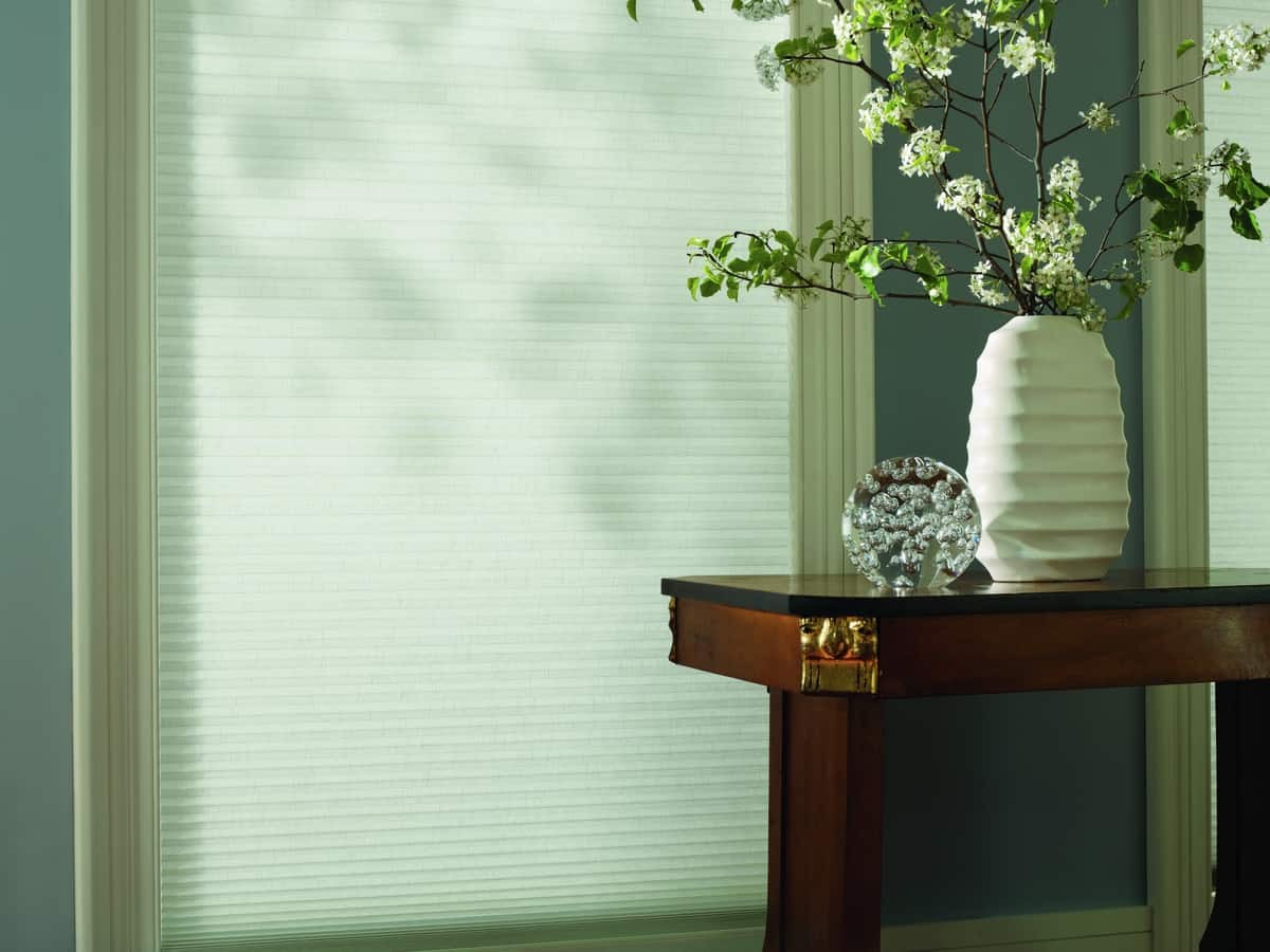 Hunter Douglas Duette® Honeycomb Shades – Silver Spring, Maryland (MD) honeycomb shades for a modern home.