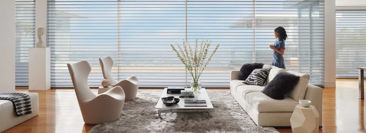 Hunter Douglas Silhouette® Window Shadings near Silver Spring, Maryland (MD), for design renewal in your home.