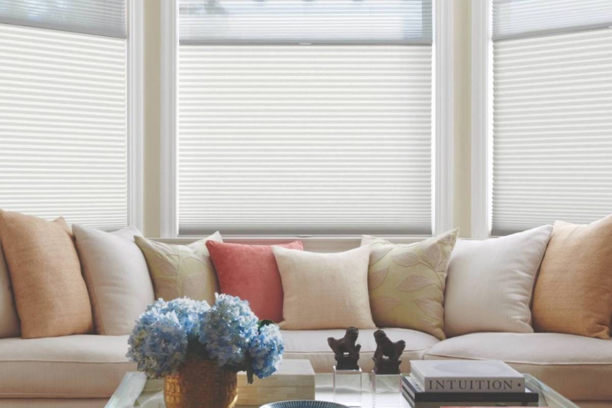 Hunter Douglas Duette® Honeycomb Shades, Cellular Shades, Honeycomb Blinds, Cellular Blinds near Silver Spring, Maryland (MD)