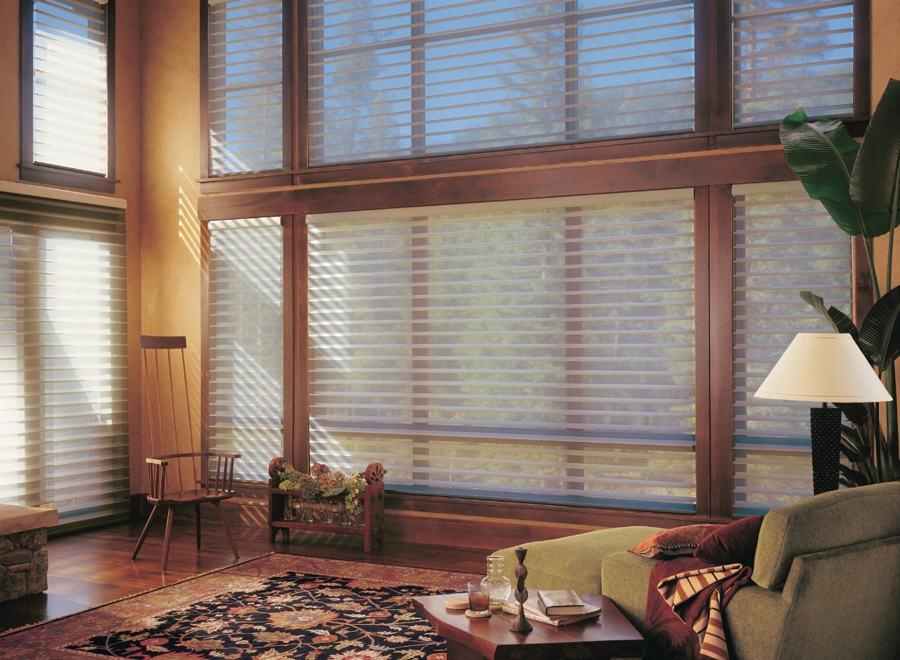 Hunter Douglas Silhouette Shades in a living room near Silver Springs, MD