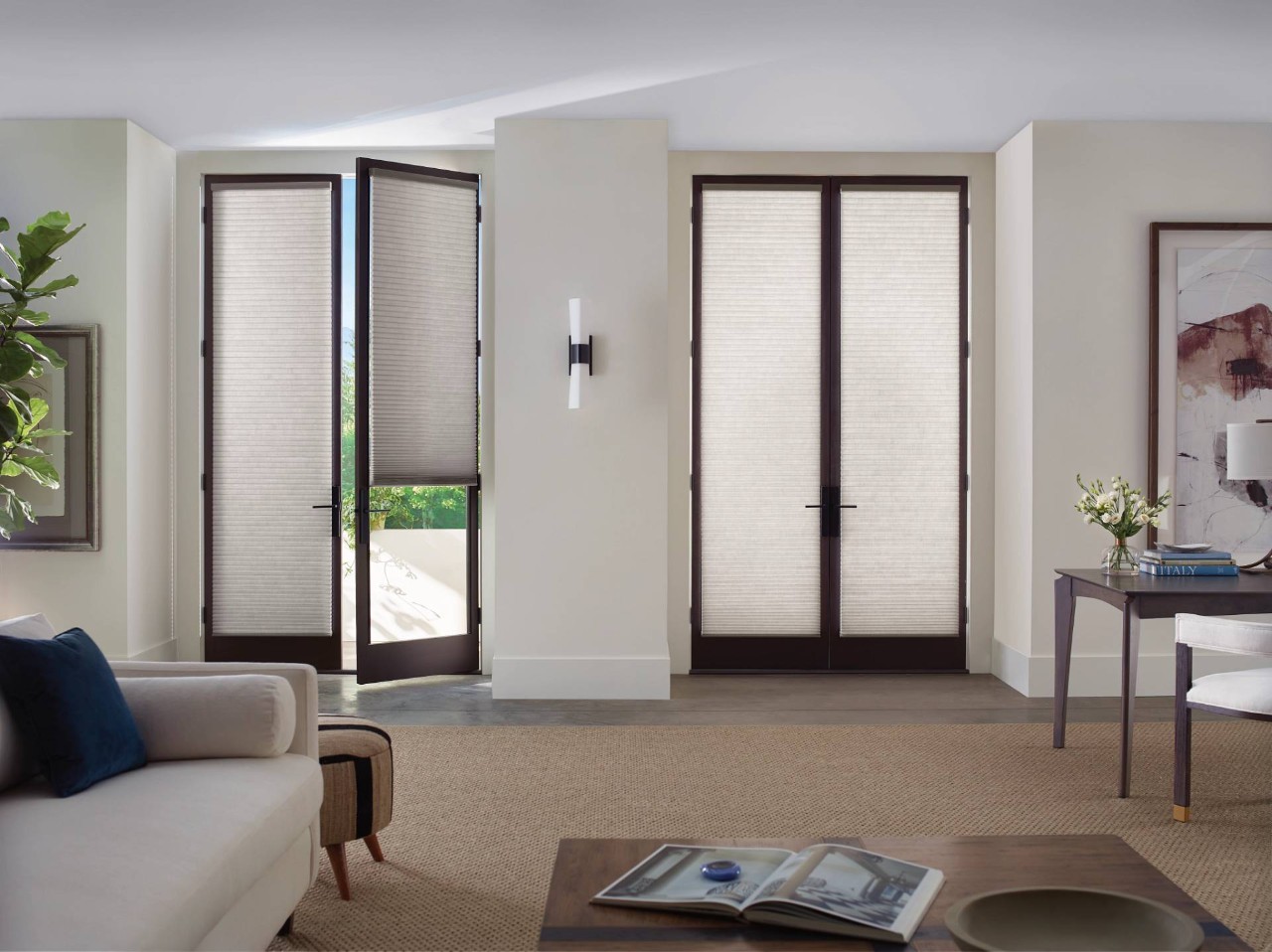 Cellular shades for French doors in a home near Silver Spring, MD