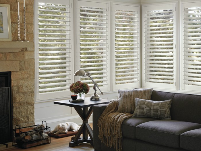 NewStyle®  Hybrid Shutters  Color: Crisp White